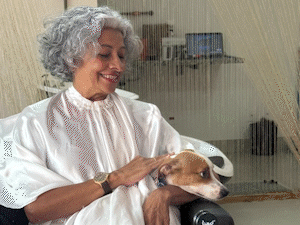 Astro de salão, cão Ferdinando é assistente que só trabalha no colo