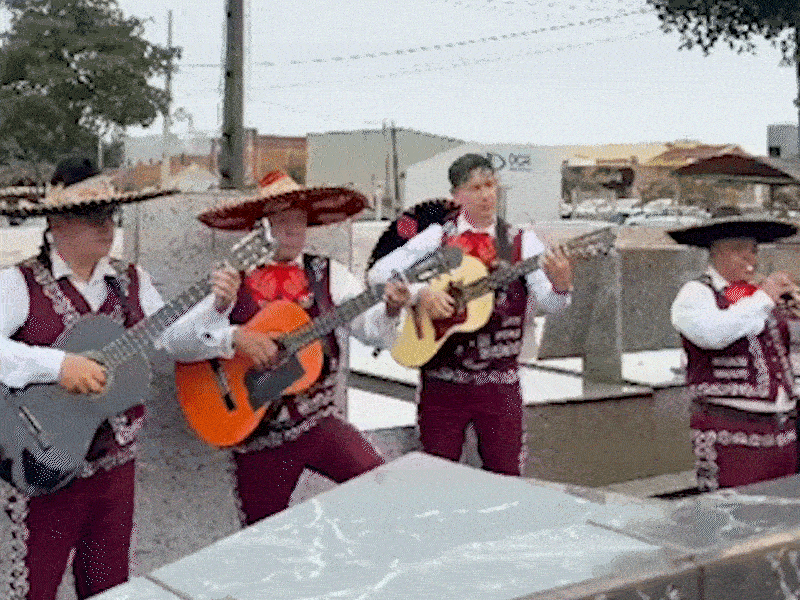 Alice era tão feliz que quis ser enterrada com alegria de mariachis